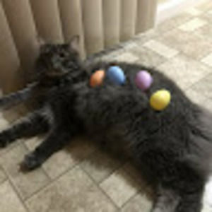 Meet your Posher, Kaley